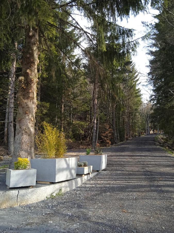 Chalet Cricri Domaine De La Mamounette Champclause Exterior foto