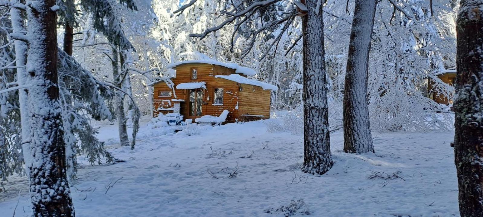Chalet Cricri Domaine De La Mamounette Champclause Exterior foto